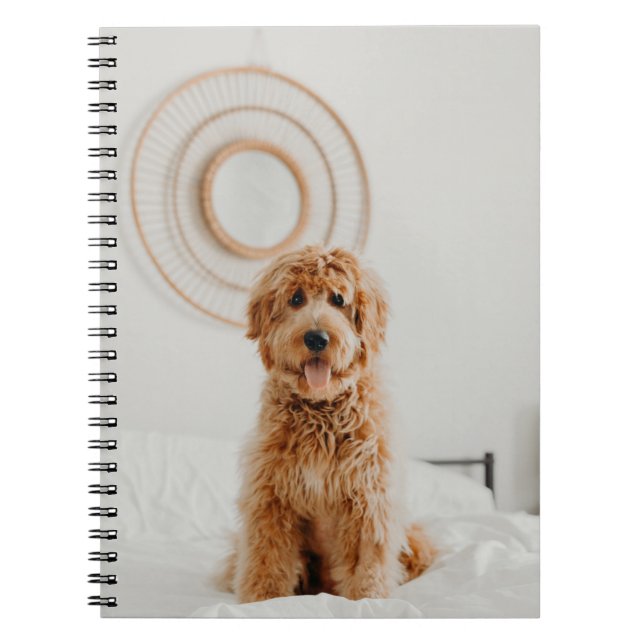 Add Your Own Photo Image Logo DIY Picture Notebook (Front)