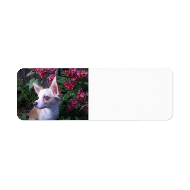 "Add Your Own Photo" Label (Front)