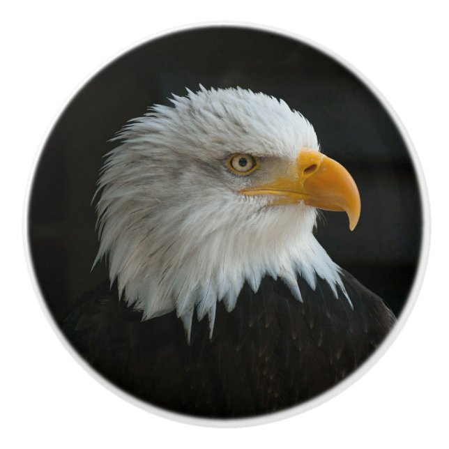 ADD YOUR OWN PHOTO OR TEXT CERAMIC KNOB (Front)