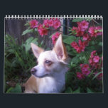 "Add Your Own Photos" Calendar<br><div class="desc">"Add Your Own Photos" Calendar makes a great gift! Put a different picture on every month! Perfect for baby or pet photos or anything you want the world to see. Great gift for grandparents! Even children's artwork can be showed off with love. Different sizes and designs available.</div>