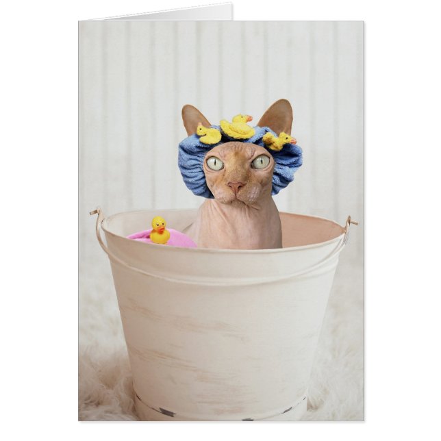 Add Your Own Text: Bath Time (Front)