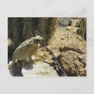 ADD YOUR OWN TEXT to Godzilla's Posed Position Postcard