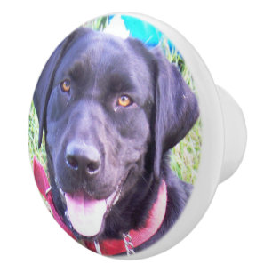 add your pet photo Ceramic Knob