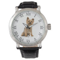 Add Your Pet's Photo Cute Dog Picture