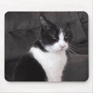 Add your pet's photo to this cute mouse pad