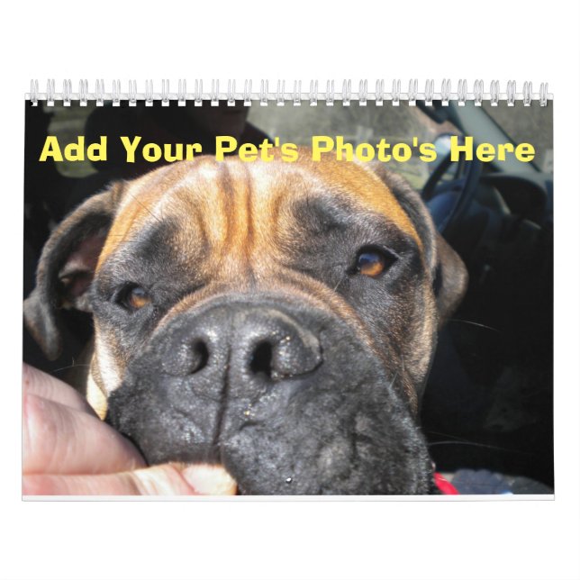 Add your Pet's Photos to Each Month Calendar (Cover)