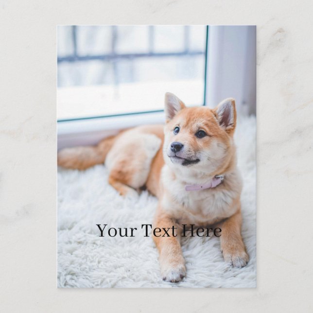 Add Your Photo and Text 2 Sided Customized Postcard (Front)