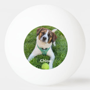 Add Your Photo Dog Photo Kids Photo Family Photo Ping Pong Ball