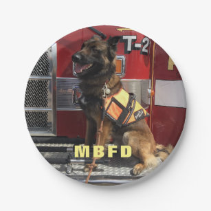 Add Your Photo Fireman's Celebration Paper Plate