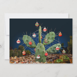 Add your photo on back, Christmas Prickly Pear Holiday Card