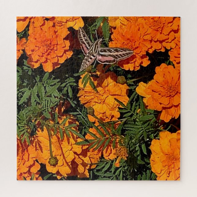Add Your Photo Sphinx Moth On Orange Marigolds Jigsaw Puzzle (Vertical)