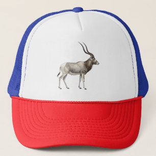 Addax Trucker Hat