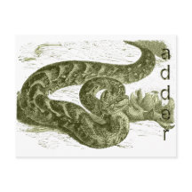 Adder (snake)