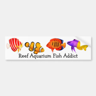 Addicted to Reef Aquarium Fish Bumper Sticker