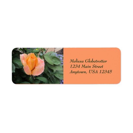 Address Label--Orange Rose With Rain Drops Return Address Label