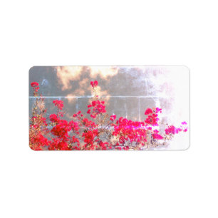 ADDRESS LABELS COOL ECO STYLE DESIGN