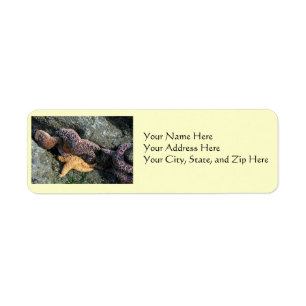 Address Labels:  Starfish