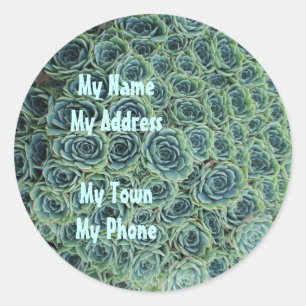 Address Sticker with Cactus Flowers