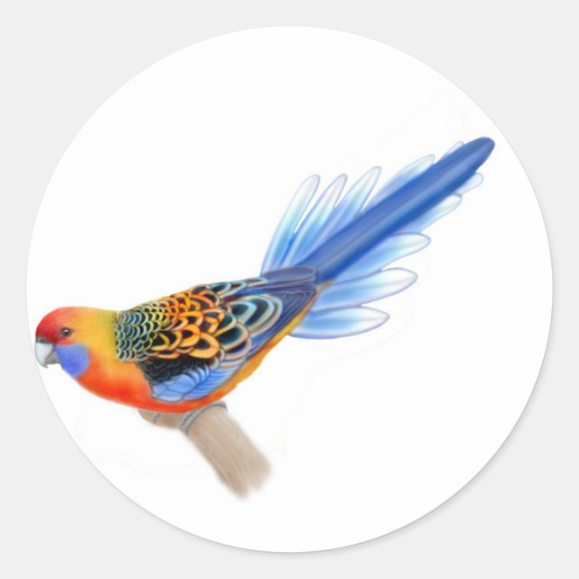 Adelaide Rosella Sticker (Front)