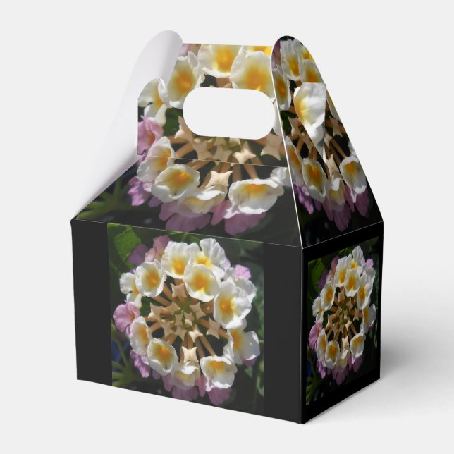 Adelaparre Favor Box (Front Side)