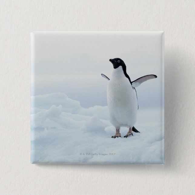 Adelie penguin, Antarctica 2 Inch Square Button (Front)