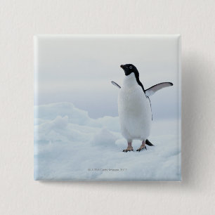 Adelie penguin, Antarctica 2 Inch Square Button