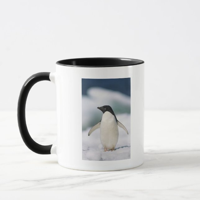 Adelie penguin, close-up mug (Left)