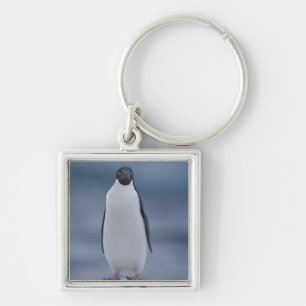 Adelie Penguin on Ice Keychain