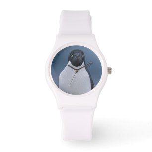 Adelie Penguin on Ice Watch