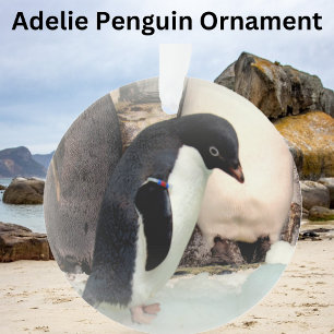 Adelie Penguin - Ornement acrylique