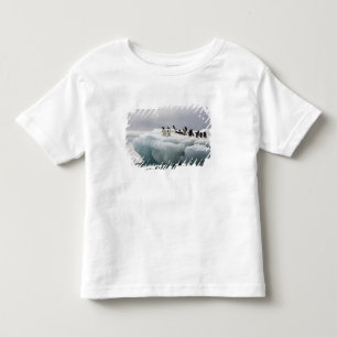 Adelie Penguin Pygoscelis adeliae), Toddler T-shirt