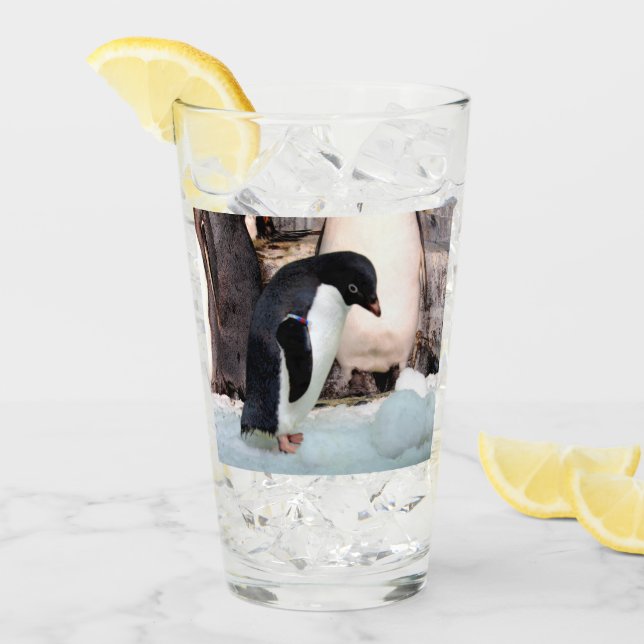 Adélie Penguin Verre Tumbler / Shaker Verre (Devant glace)