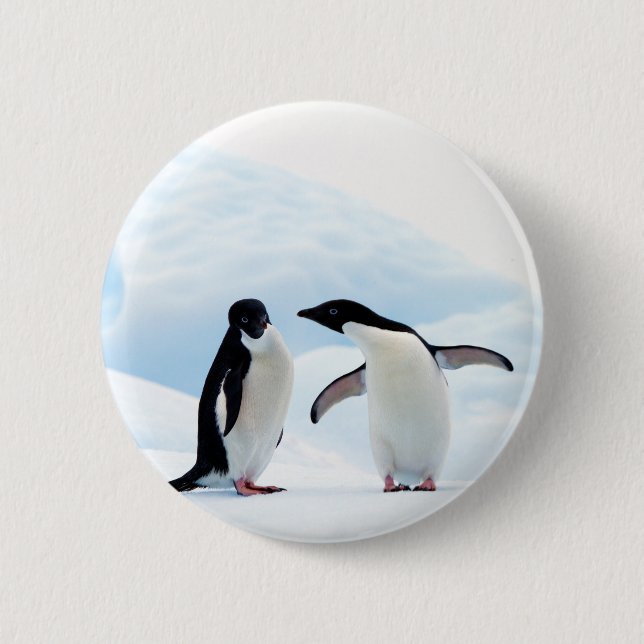 Adelie Penguins 2 Inch Round Button (Front)