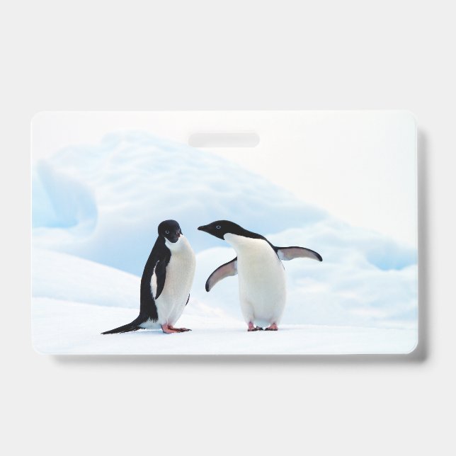 Adelie Penguins Badge (Front)