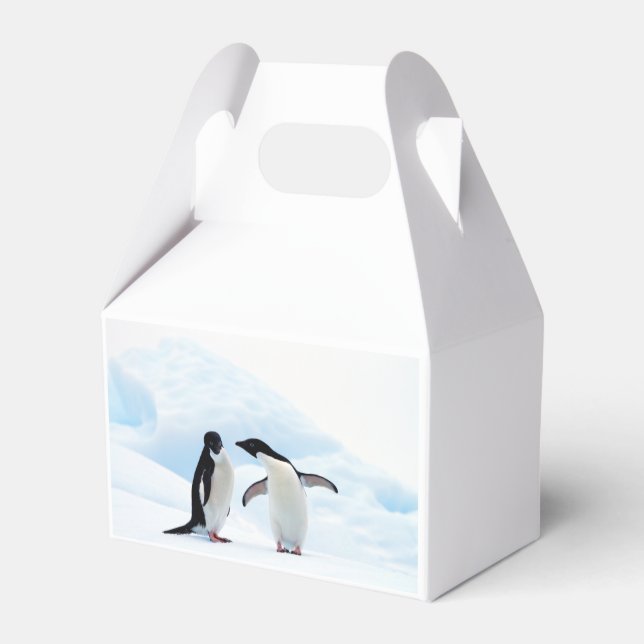 Adelie Penguins Favor Box (Back Side)