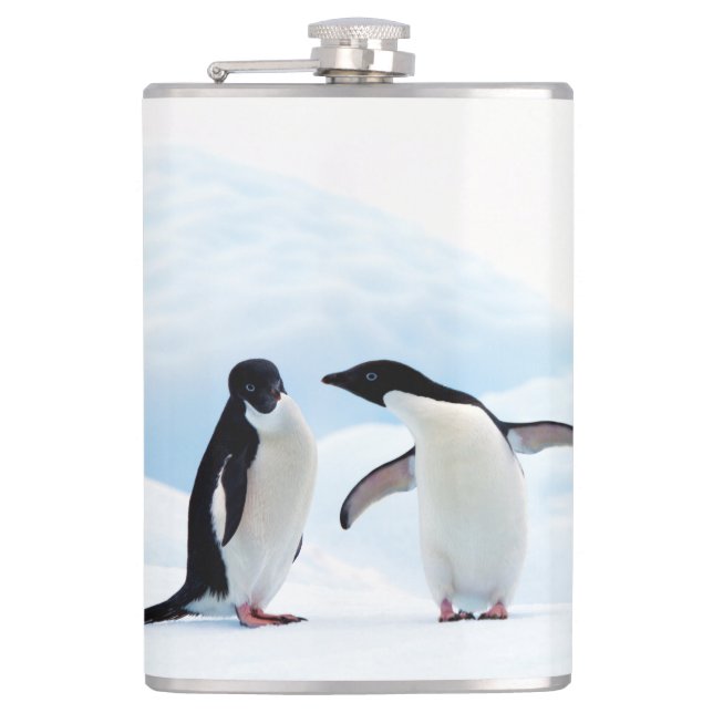 Adelie Penguins Hip Flask (Front)