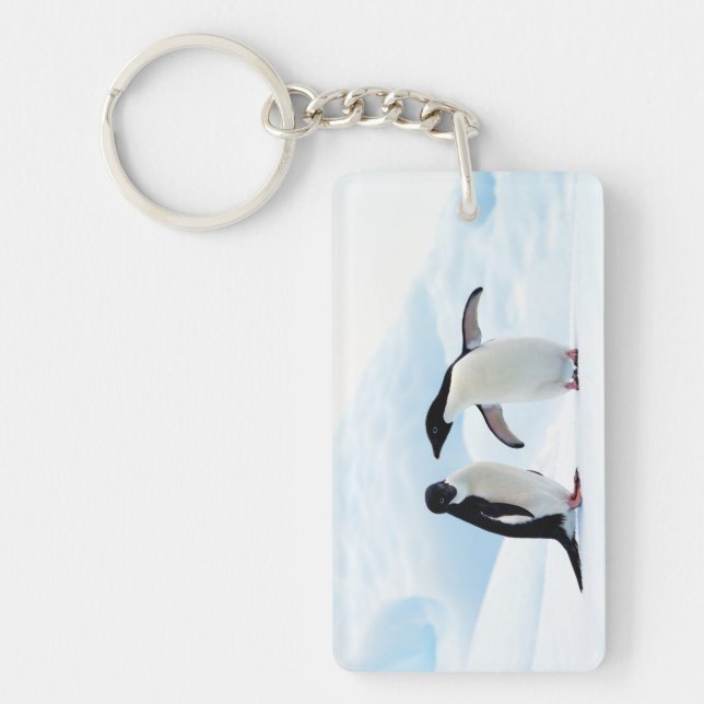 Adelie Penguins Keychain (Front)