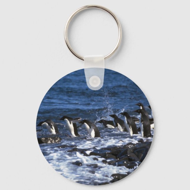Adelie Penguins Keychain (Front)