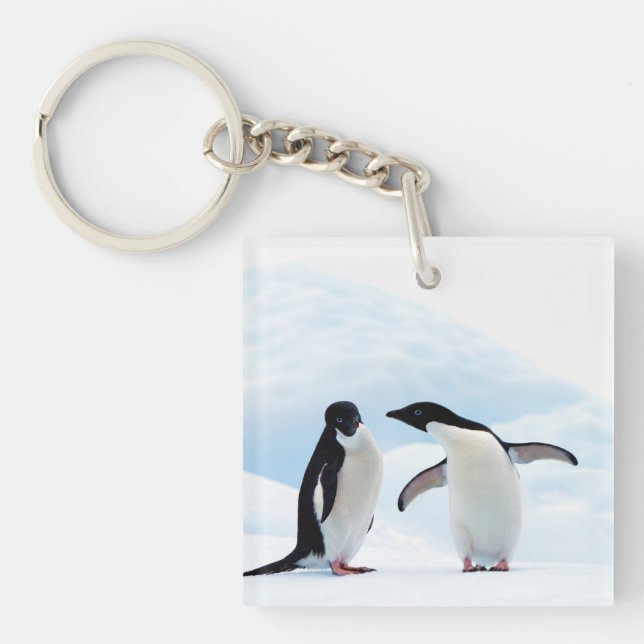 Adelie Penguins Keychain (Front)