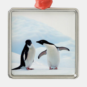 Adelie Penguins Metal Ornament