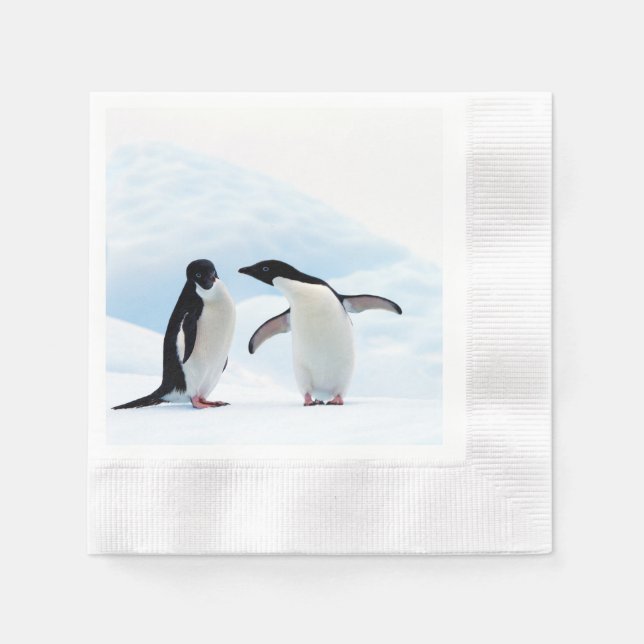 Adelie Penguins Napkin (Front)