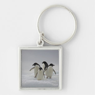 Adelie Penguins on Ice Flows Keychain