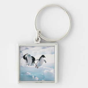 Adelie penguins (pygoscelis adeliae) Antarctica Keychain