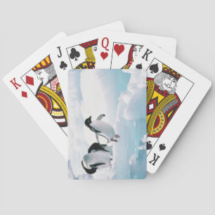 Adelie penguins (pygoscelis adeliae) Antarctica Playing Cards
