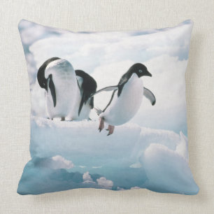 Adelie penguins (pygoscelis adeliae) Antarctica Throw Pillow