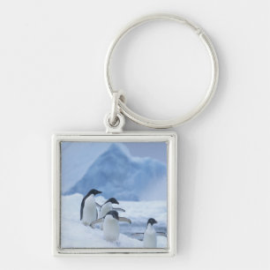 Adelie Penguins (Pygoscelis adeliae) on ice, Keychain
