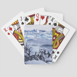 Adelie Penguins Pygoscelis adeliae Playing Cards