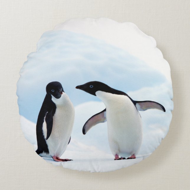 Adelie Penguins Round Pillow (Front)