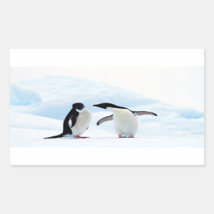 Adelie Penguins Sticker