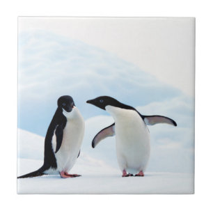 Adelie Penguins Tile